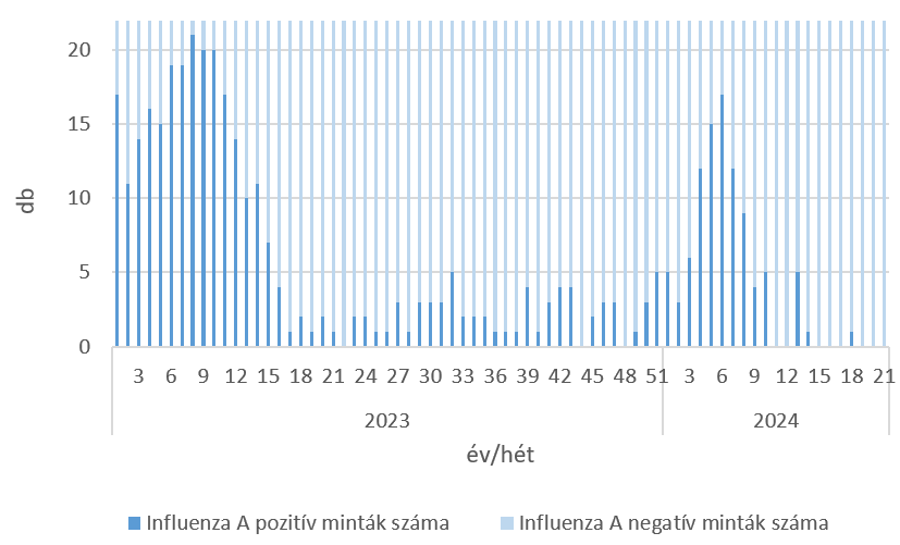 szennyviz 2024 21 6
