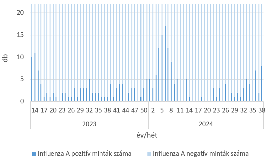 szennyviz 2024 38 6