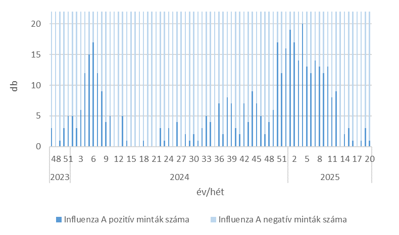 szennyviz 2025 20 6